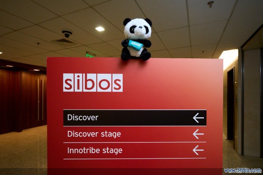 图片来源：主办方供图